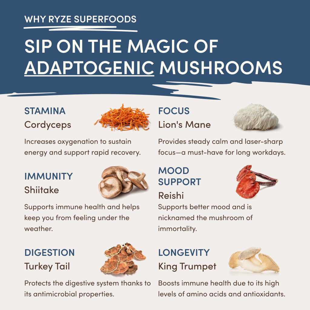 RYZE Nighttime Mushroom Cocoa Starter Bag